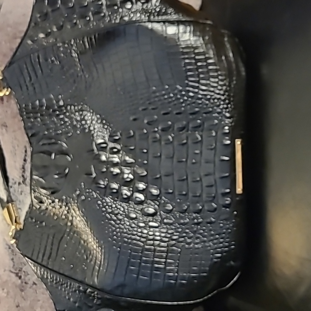 Satchel with dust bag